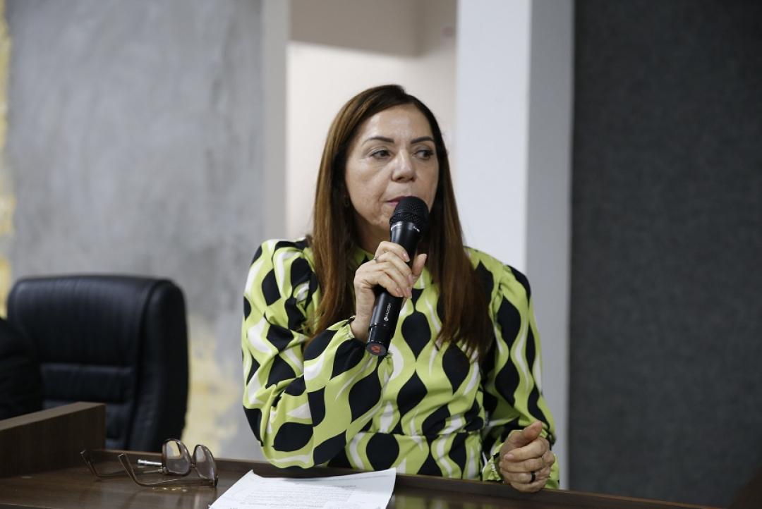 Vereadora Elisa Gomes destaca diálogo e parcerias para o desenvolvimento regional