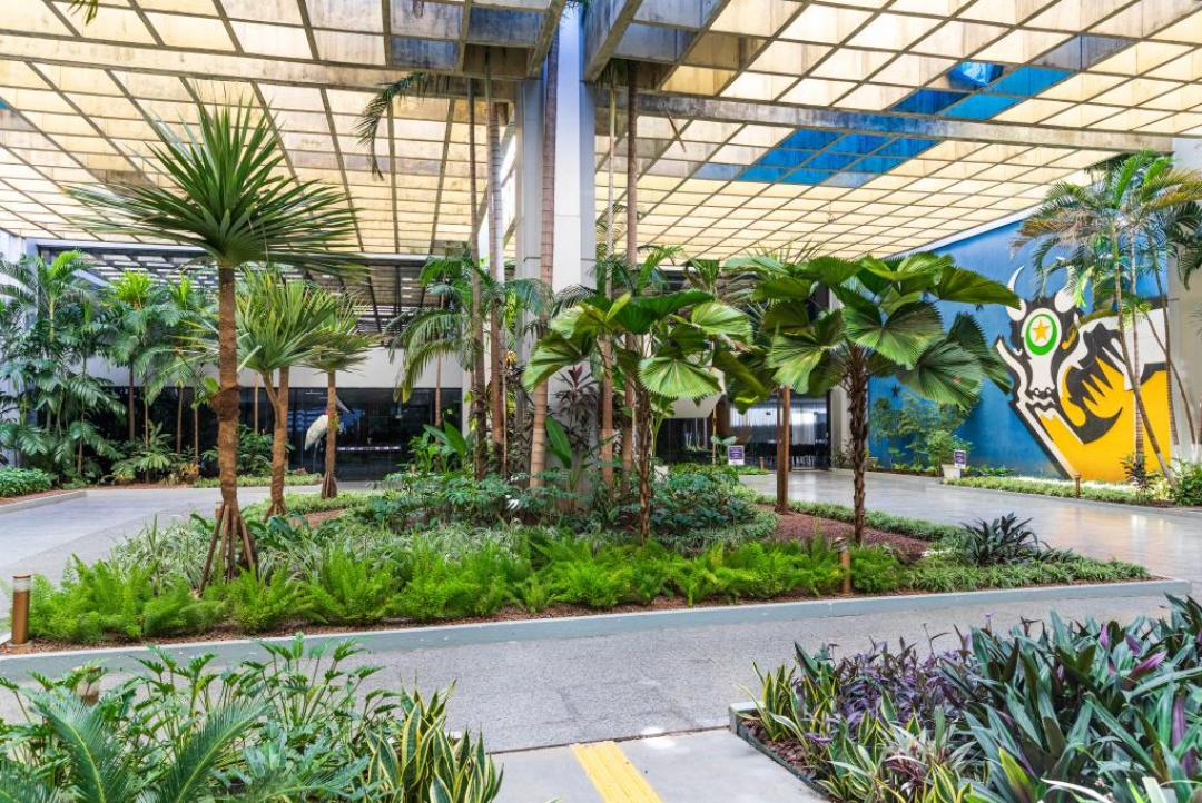 Governo de MT consegue decisão no STF para suspender cobrança indevida da União