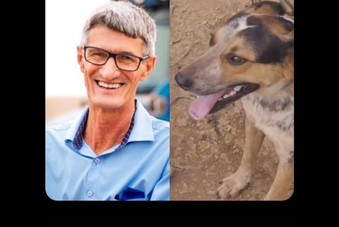 Conheça Bolsonaro: O novo cão de estimação do prefeito Chico Gamba