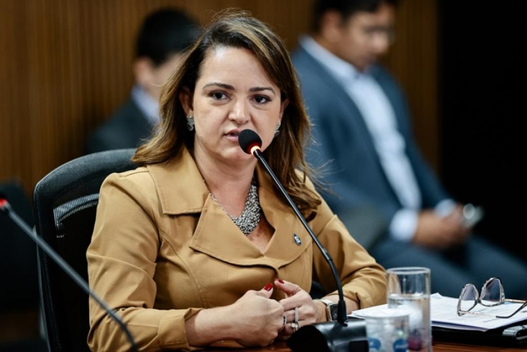Secretária da SEMA falta em audiência na Assembléia: Deputados comentam