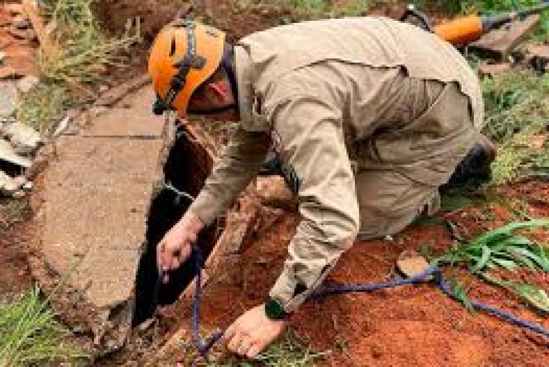 Filhote de cachorro cai em fossa e é resgatado pelos bombeiros