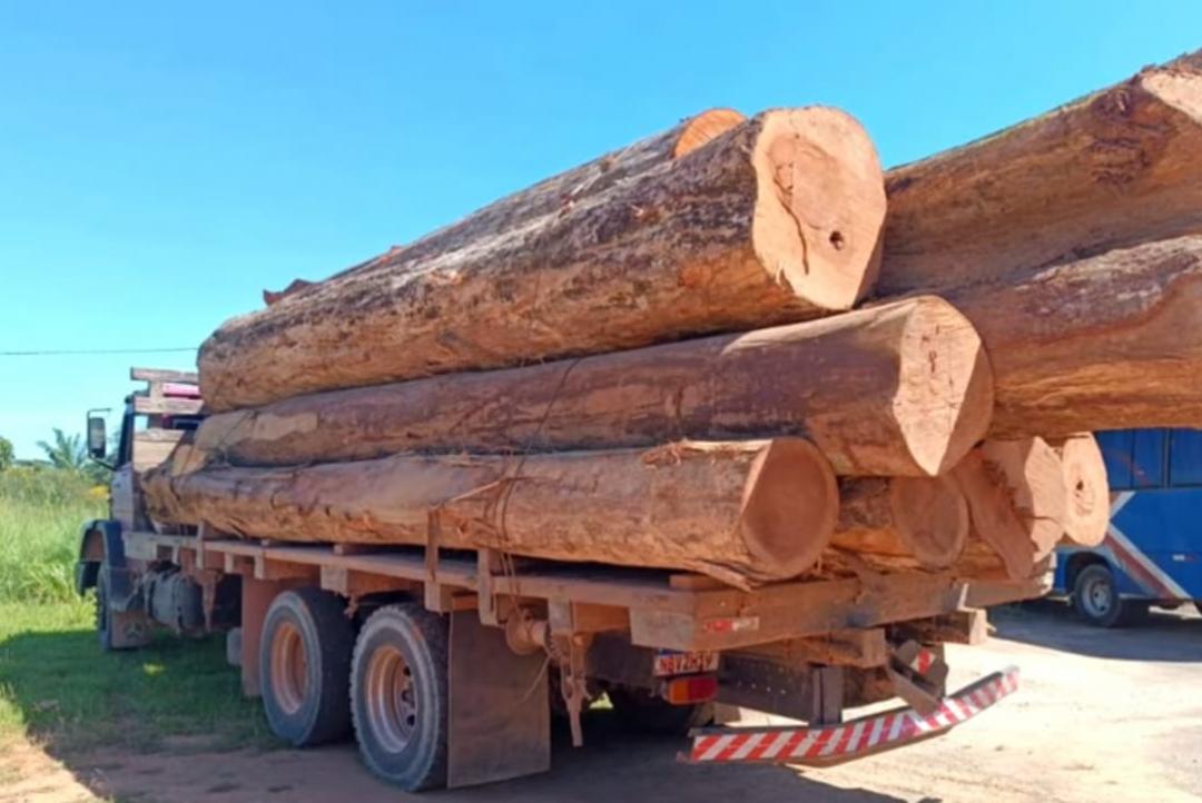 Madeira ilegal apreendida em Alta Floresta foi furtada de Fazenda no Pará