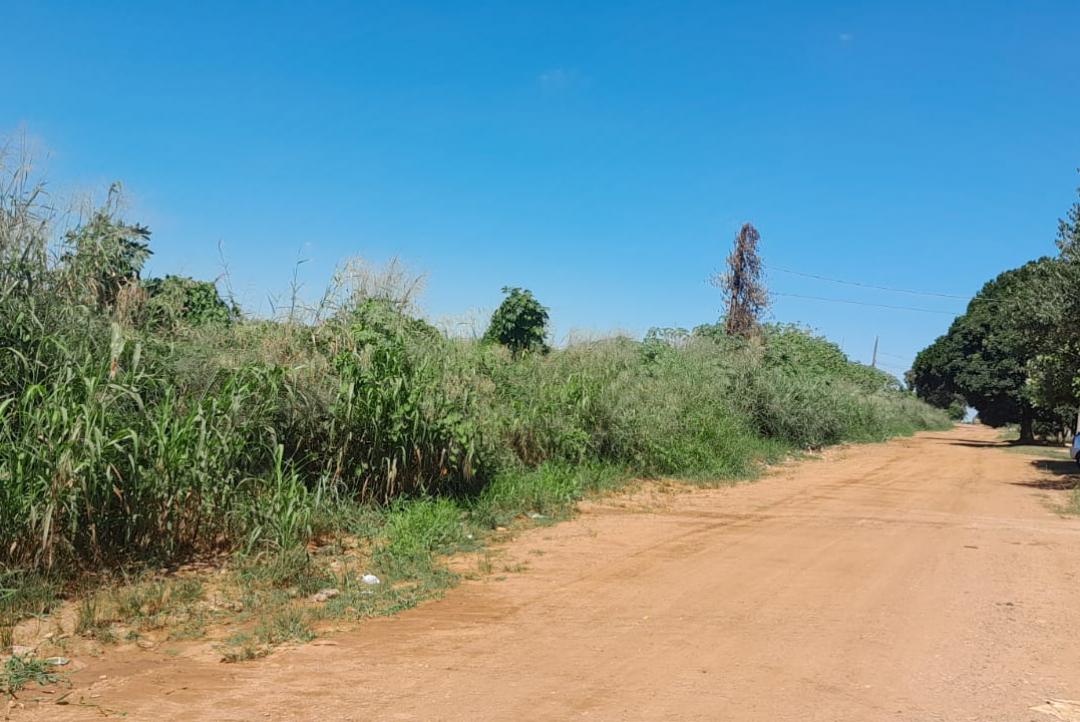 Moradores do Jardim Guaraná convivem como o medo