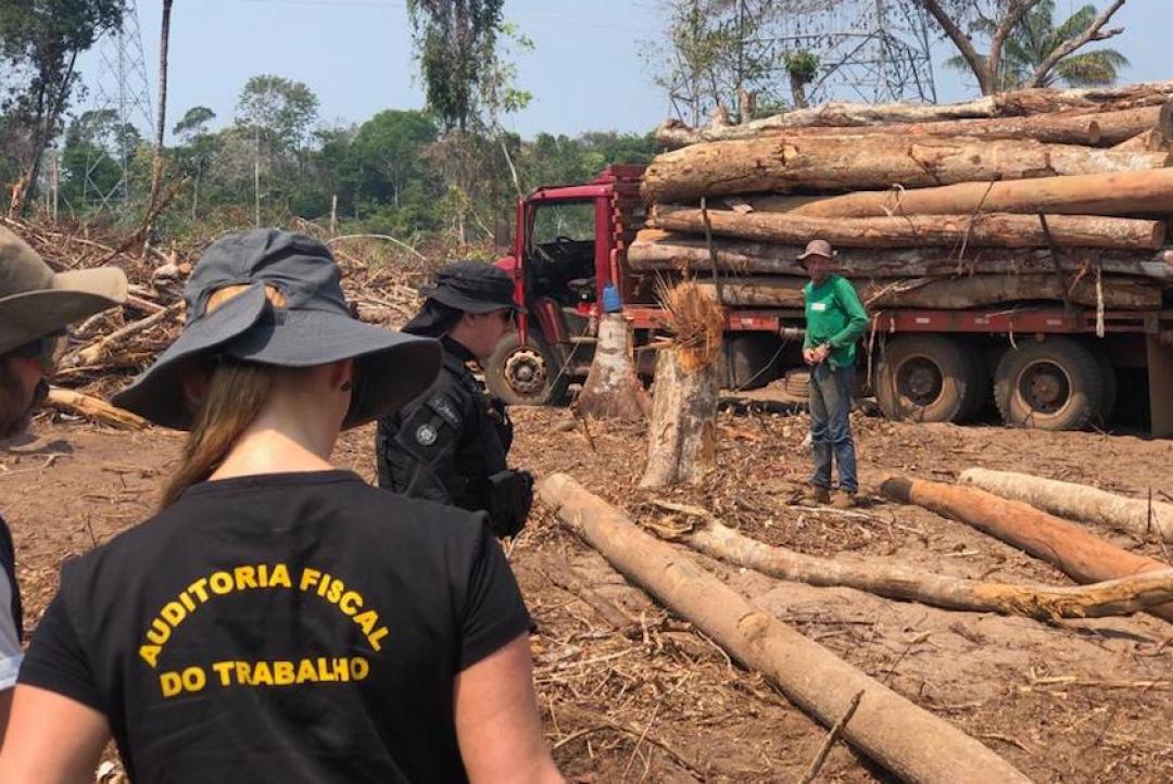Após mortes, fiscalização federal  intensifica trabalhos em serrarias de MT 