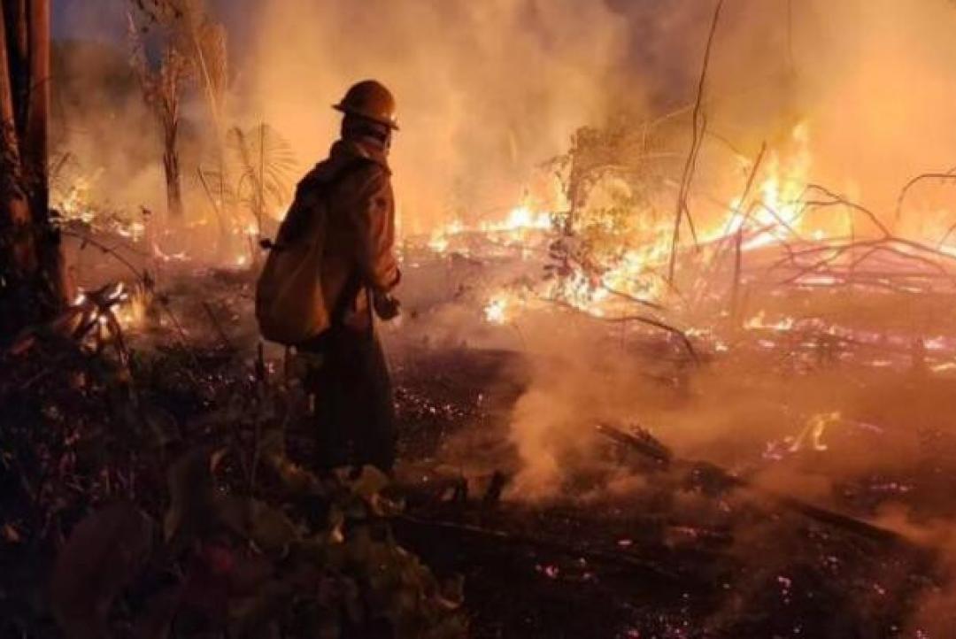 Mato Grosso lidera focos de calor no Brasil em 2025