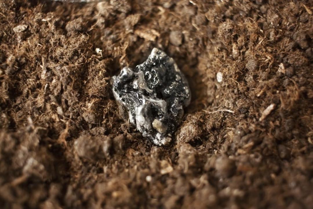 Descoberta de terras raras em MT pode elevar reservas brasileiras, mas exige mais pesquisas