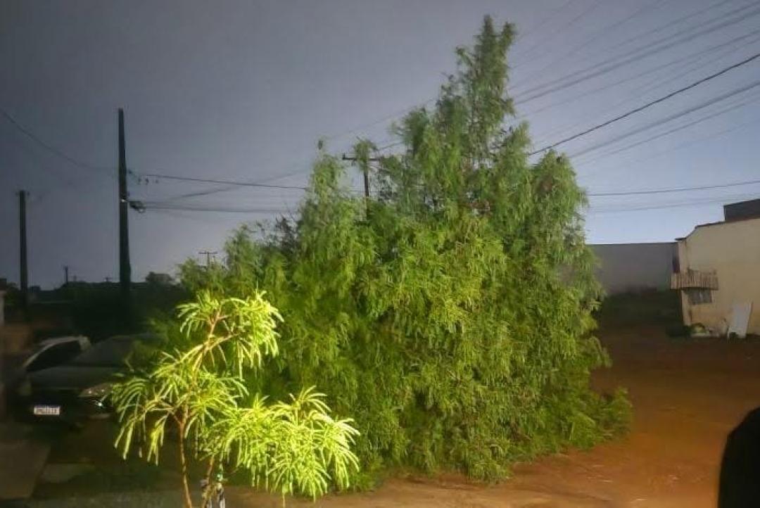 Temporal causa estragos: Panorama está entre os bairros mais atingidos  