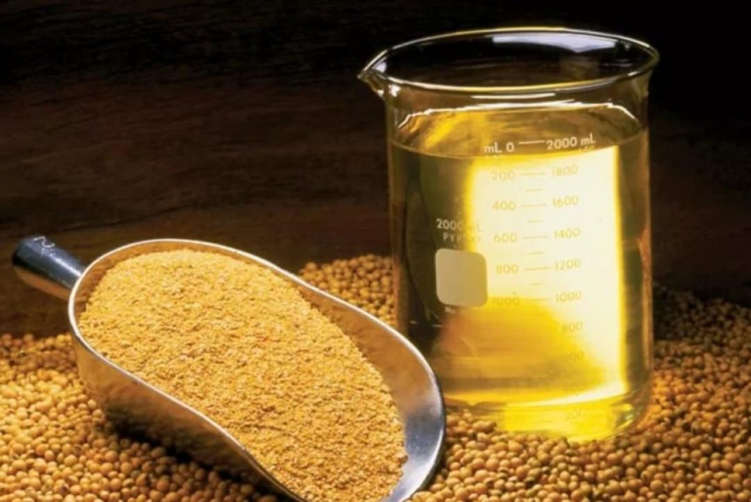 Esmagamento de soja em Mato Grosso cresce 6,9% em outubro